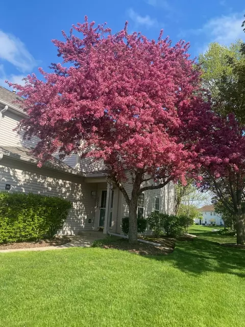 1529 Keystone Ct, Elgin, IL 60120 photo 22
