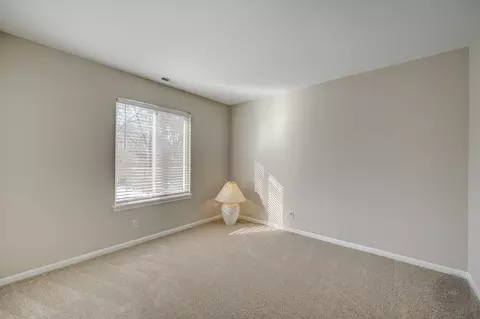 14036 S Oregon Dr, Plainfield, IL 60544 photo 22