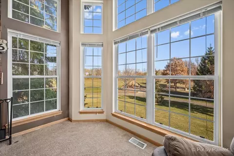 2731 Old Woods Trl, Plainfield, IL 60586 photo 10
