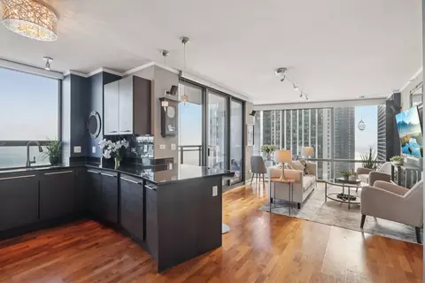 Kitchen - 450 E Waterside Dr #2103, Chicago, IL 60601 photo 3 of 3
