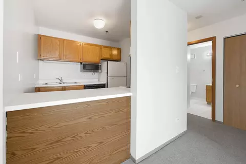 Kitchen - 3255 Kirchoff Rd #306, Rolling Meadows, IL 60008 photo 1 of 6