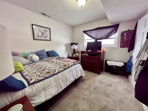 308 Low St, Bloomington, IL 61701 photo 29
