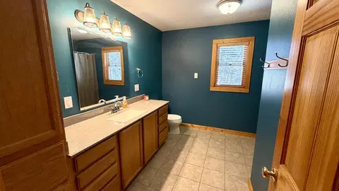 9120 Spring Valley Rd, Fulton, IL 61252 photo 39