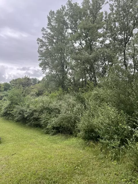 6 Walnut Dr, Putnam, IL 61560 photo 4