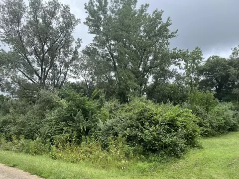 6 Walnut Dr, Putnam, IL 61560