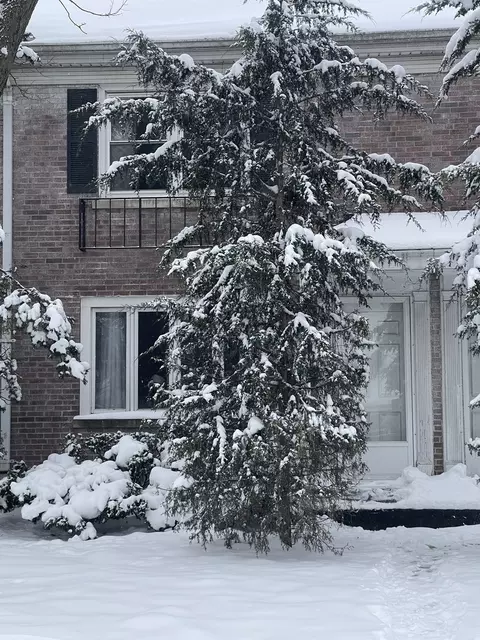907 N Raynor Ave, Joliet, IL 60435