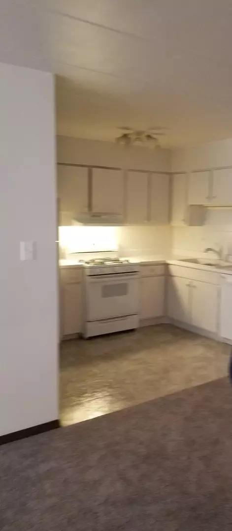 18550 Torrence Ave #19, Lansing, IL 60438 photo 3