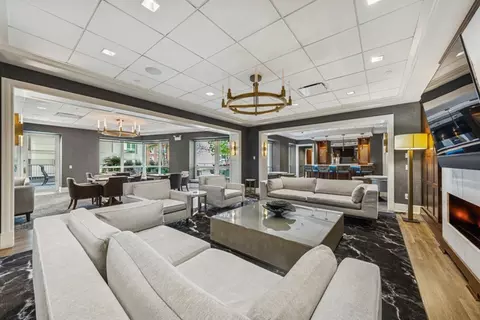 Living - 57 E Delaware Pl #3906, Chicago, IL 60611 photo 5 of 5