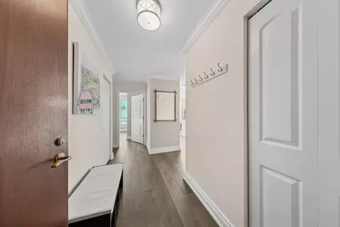 Entry Way - 57 E Delaware Pl #3906, Chicago, IL 60611 photo 1 of 3