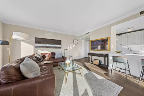 Living - 57 E Delaware Pl #3906, Chicago, IL 60611 photo 3 of 5