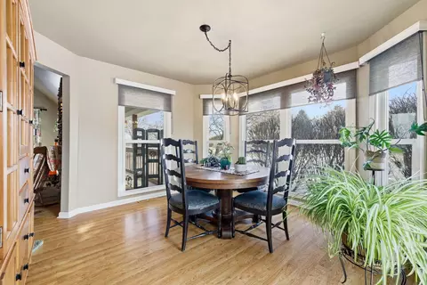 Dining - 143 Bush Dr, Elwood, IL 60421 photo 1 of 2