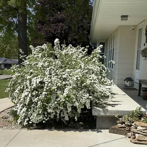 Other - 516 Christopher St, Morrison, IL 61270 photo 6 of 6