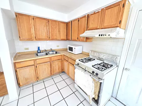 238 W 31st St #4E, Chicago, IL 60616 photo 3