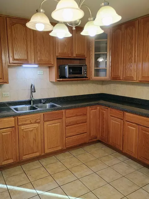 16601 Honore Ave, Markham, IL 60428 photo 5