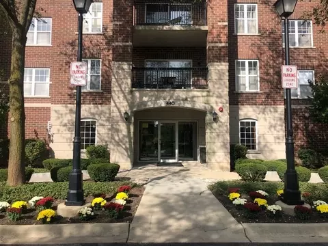 440 W Mahogany Ct #312, Palatine, IL 60067