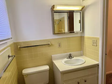 Bath - 106 College Park Ct, Normal, IL 61761 photo 2 of 3