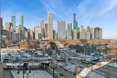 233 E 13th St #1005, Chicago, IL 60605 photo 21