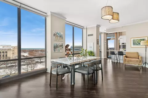 233 E 13th St #1005, Chicago, IL 60605 photo 8