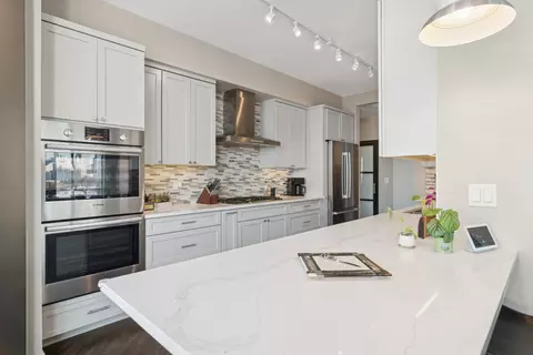 233 E 13th St #1005, Chicago, IL 60605 photo 9