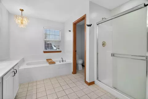 Bath - 1509 Donegal Dr, Minooka, IL 60447 photo 3 of 5