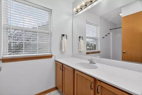Bath - 1509 Donegal Dr, Minooka, IL 60447 photo 4 of 5