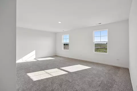 13530 S Coronado Cir, Plainfield, IL 60544 photo 18