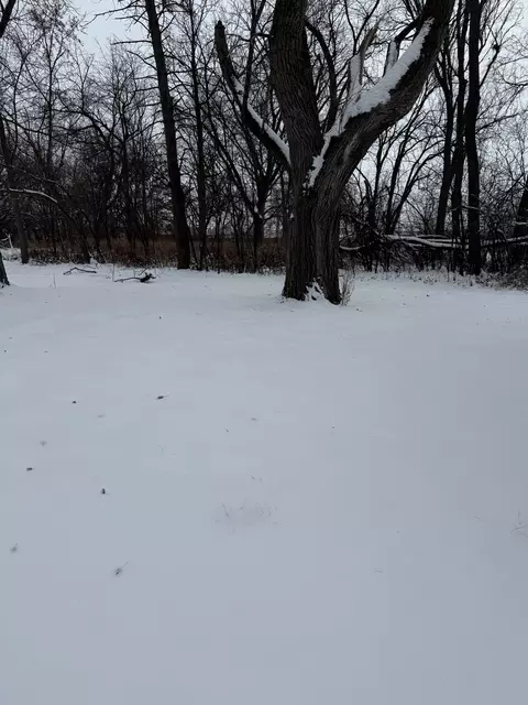 19611 Crawford Ave, Flossmoor, IL 60422