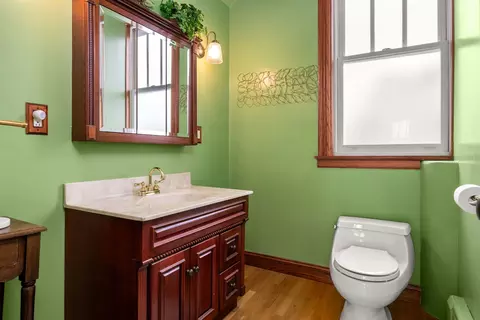 554 Thatcher Ave, River Forest, IL 60305 photo 32
