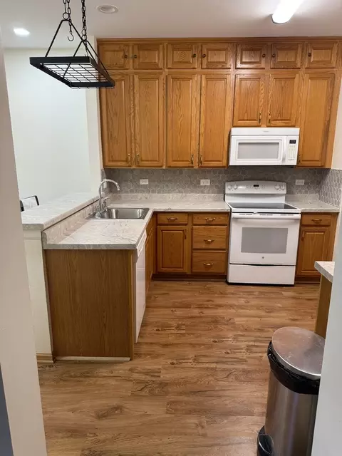 Kitchen - 21602 W Empress Ln, Plainfield, IL 60544 photo 1 of 4
