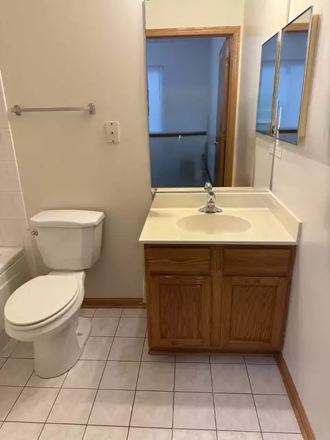 Bath - 21602 W Empress Ln, Plainfield, IL 60544 photo 2 of 3