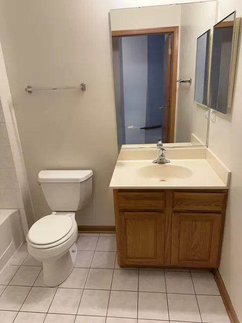 Bath - 21602 W Empress Ln, Plainfield, IL 60544 photo 3 of 3