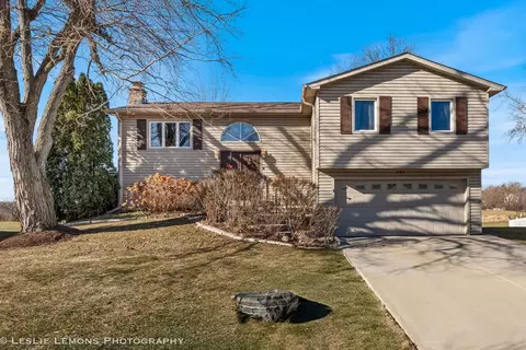 409 N Ashbury Ave, Bolingbrook, IL 60440