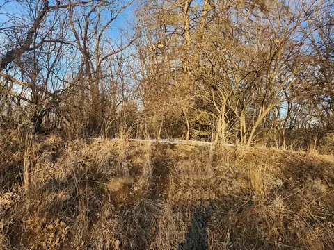 lot1536 Lake Wildwood Dr, Varna, IL 61375