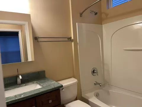 Bath - 847 Cascade Falls Dr, Elgin, IL 60124 photo 2 of 2