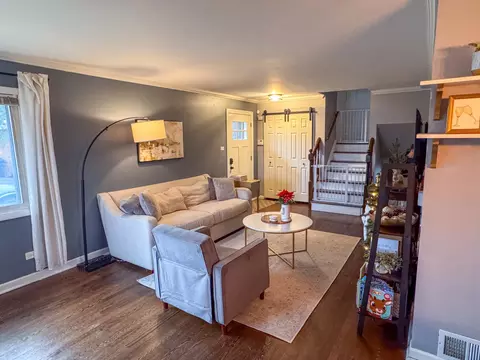 Entry Way - 450 E Park Ave, Elmhurst, IL 60126 photo 2 of 4