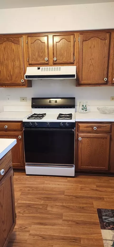 1492 Eliot Trl, Elgin, IL 60120 photo 5