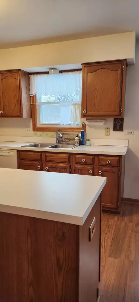 1492 Eliot Trl, Elgin, IL 60120 photo 4