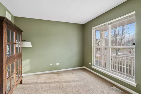Other - 23716 Tall Grass Dr, Plainfield, IL 60585 photo 1 of 9
