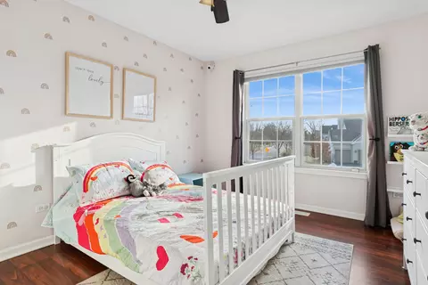 Bedroom - 23716 Tall Grass Dr, Plainfield, IL 60585 photo 3 of 3