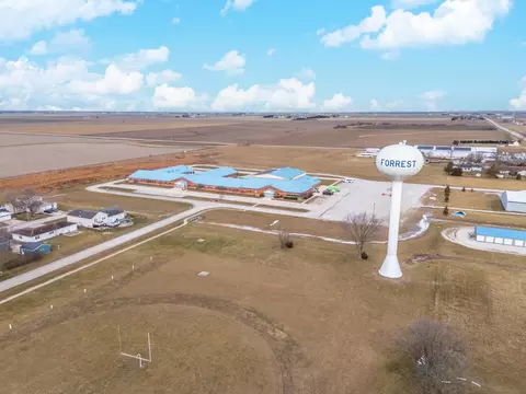 View/Area - 121 E James St, Forrest, IL 61741 photo 1 of 9