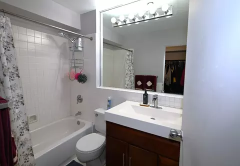 Bath - 40 E 9th St #616, Chicago, IL 60605 photo 1 of 3