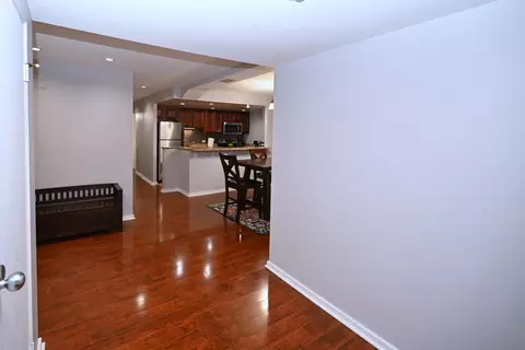 Entry Way - 40 E 9th St #616, Chicago, IL 60605 photo 3 of 3