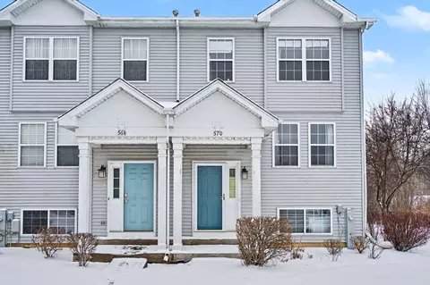 570 N Triumph Ct, Hainesville, IL 60073