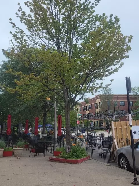 Exterior - 1628 W Juneway Ave #1, Chicago, IL 60626 photo 8 of 10