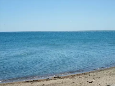 View/Area - 1628 W Juneway Ave #1, Chicago, IL 60626 photo 4 of 4