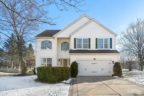 1900 Chestnut Grove Dr, Plainfield, IL 60586 photo 1