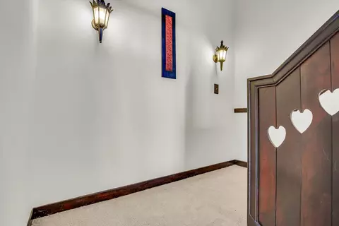 910 W Park Ave, Champaign, IL 61821 photo 50