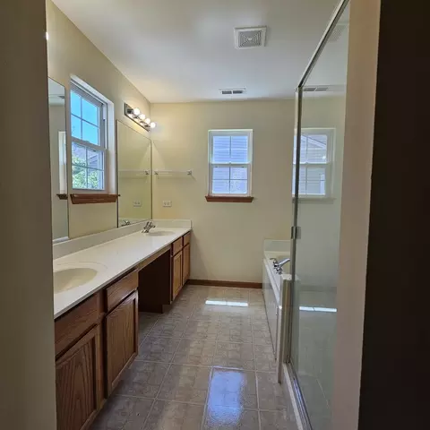 Bath - 1111 Colonial Dr, Joliet, IL 60432 photo 2 of 3