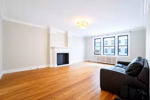 Living - 1765 E 55th St #E1, Chicago, IL 60615 photo 2 of 5