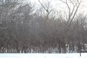 930 N N Fairfield Rd, Round Lake Beach, IL 60073